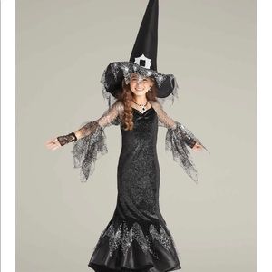 Spider Witch Costume
